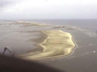 flow) Nearshore zone Offshore delta front and