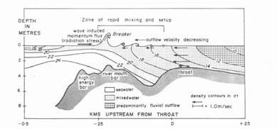 ppm) High-salinity values arid regions Gravity-driven underflow in basin (turbidity-current) Impact marine processes
