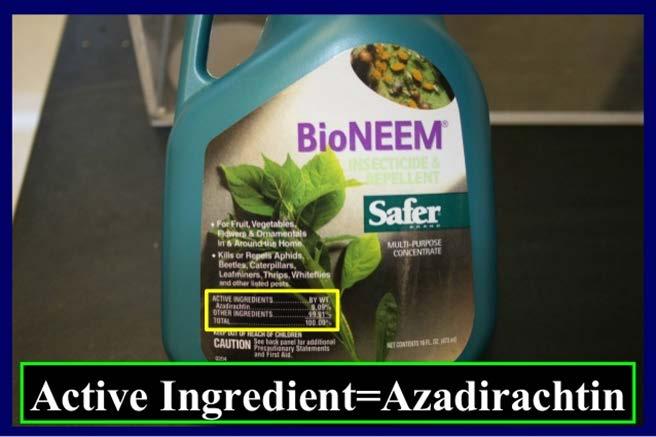 Neem Oil From Indian neem tree, Azarchta indica Clarified hydrophobic extract of neem, very little azadirachtin in neem oil MOA suffocates by