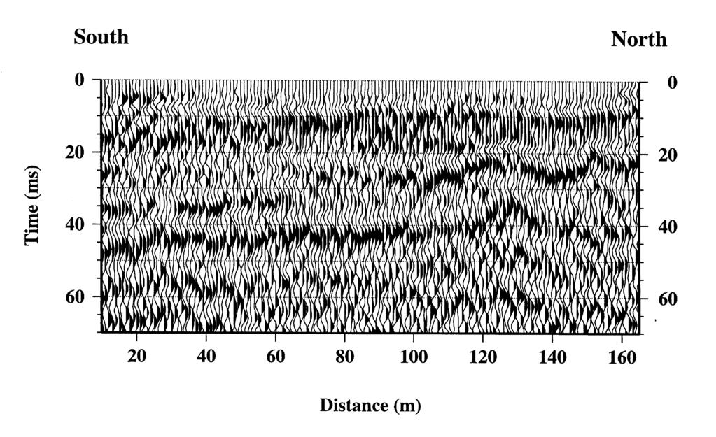 Figure 2. Seismic reflection data from the north-south profile along 40 m west. The reflector between 40 and 50 ms corresponds to the aquitard boundary.