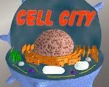 Within a eukaryotic cell, there are structures called organelles.