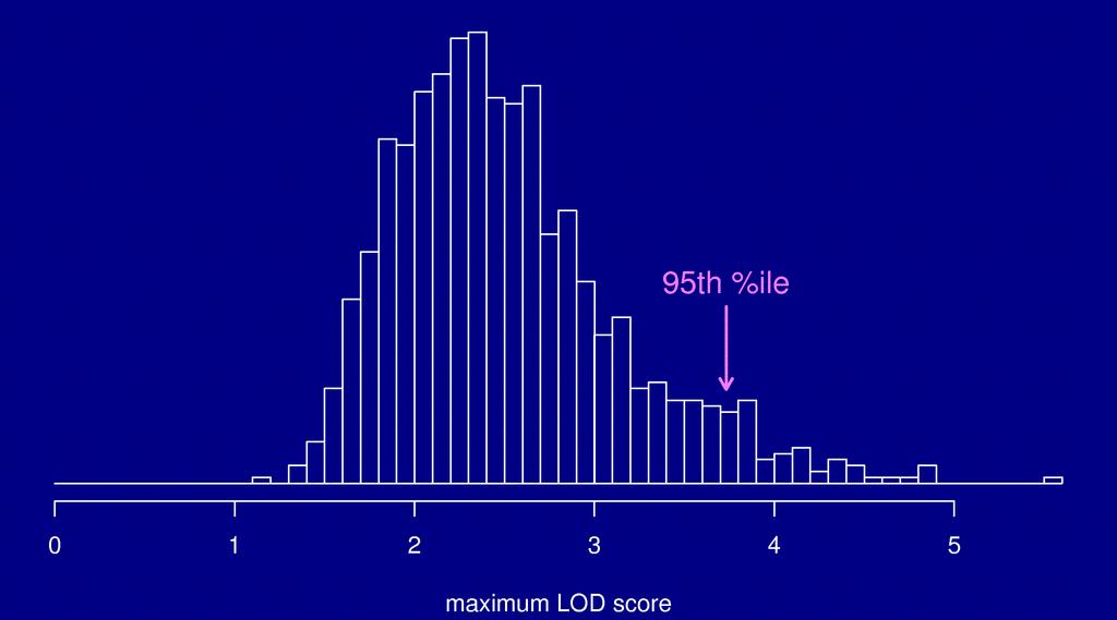 Calculate M* = max LOD*, with the shuffled data.