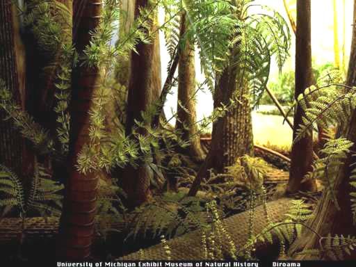 Carboniferous Period Forest http://palaeos.