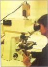 Microscopes Cells discovered with invention of microscope.