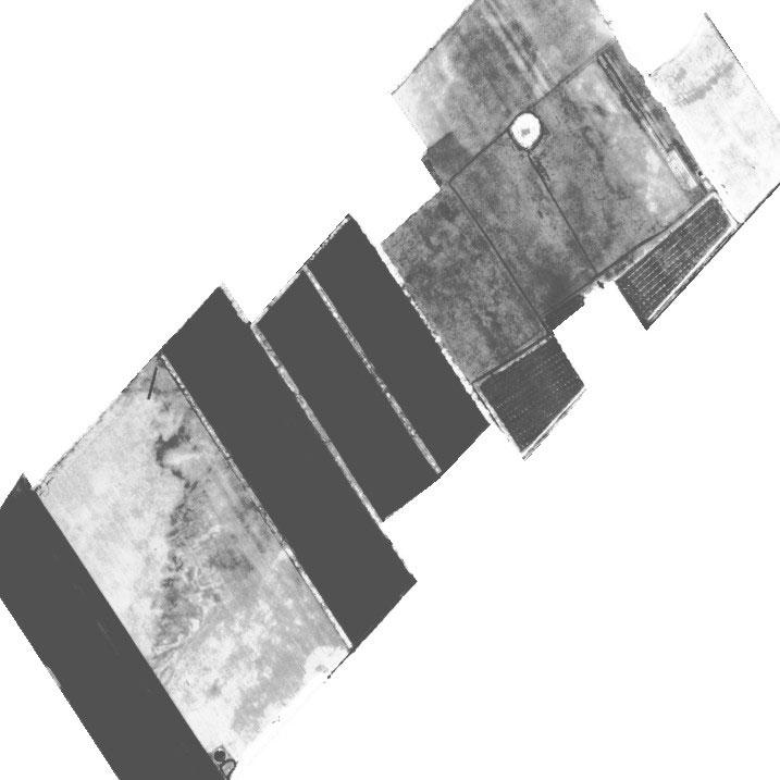 Figure 2: Left: NDVI-image, depicted is one selected region of interest. Right: Segmented field areas, additionally shown are lines, extracted and grouped to field boundaries (white lines) 5.
