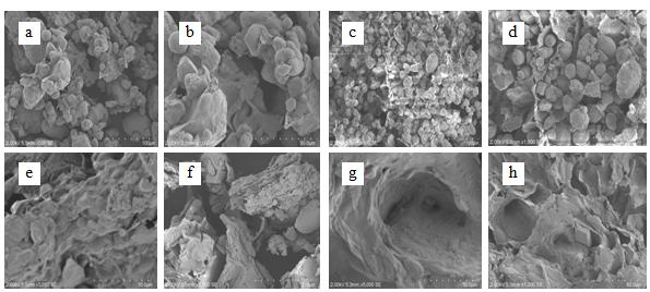 Figure 3. Scanning Electron Microscope (SEM) Image of Lengkeng seed before activation with 500-times magnification (a) 1000x (b) after activation with 500-times magnification (c) 1000x (d).