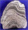 Metamorphic Rocks Metamorphic rock are sedimentary or igneous rocks that have been changed