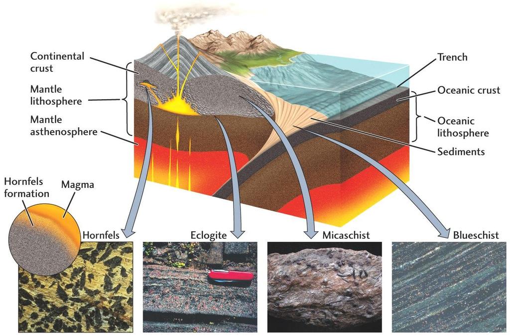 Metamorphic Rocks Not Foliated Distinct lowpressure minerals Foliated - Layers defined by Fig 4.