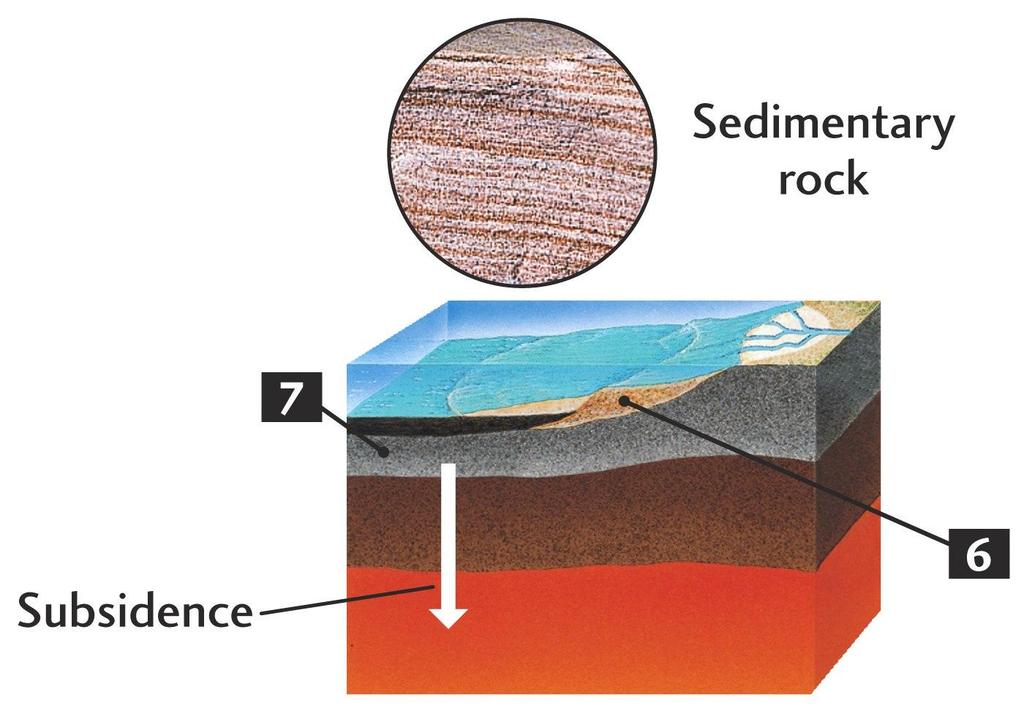 Sediment Transport to Oceans -Deposition -Burial &