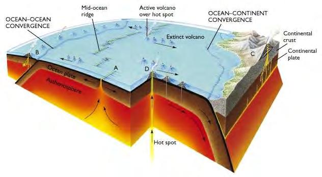 Effusive volcanism is associated with zones where the mantle plumes are close to the surface.