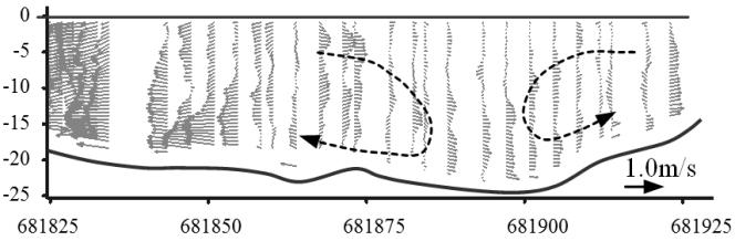3 Flow structure around Betil/Enayetpur spur dykes during flood The velocity field was measured on July15, 8 and resulted velocity vectors in a horizontal plane near water surface around two spur