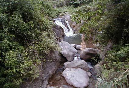IN JAMAICA, MORPHOLOGY OF MONTANE STREAMS ARE LARGELY CONTROLLED BY A PLENTIFUL SUPPLY OF COARSE BEDLOAD FROM