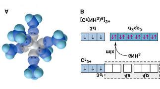 Hybrid rbitals and Bonding in the ctahedral [Cr(H 3 ) 6 ] 3+ Ion Hybrid rbitals and Bonding in the Square Planar [i(c) 4 ] 2- Ion Fig. 23.