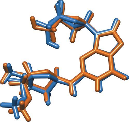research communications ISSN 2056-9890 Crystal structure of a nucleoside model for the interstrand cross-link formed by the reaction of 2 0 -deoxyguanosine and an abasic site in duplex DNA Received