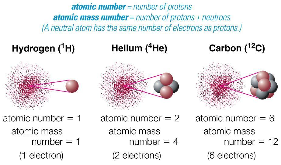 Atomic Terminology Atomic Number = # of protons in