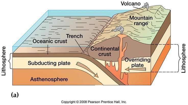 Convergent Plate Boundary Subduction trenches next to continents ( slab pull )