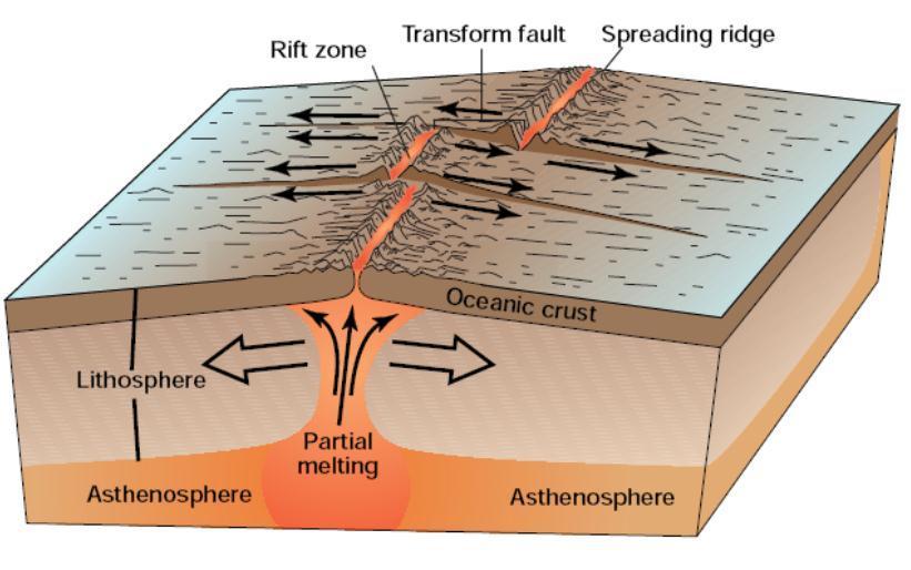 Transform Plate Boundary Transform faults: