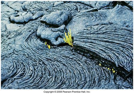 Volcanic Activity Creates landforms Lava flows, sometimes