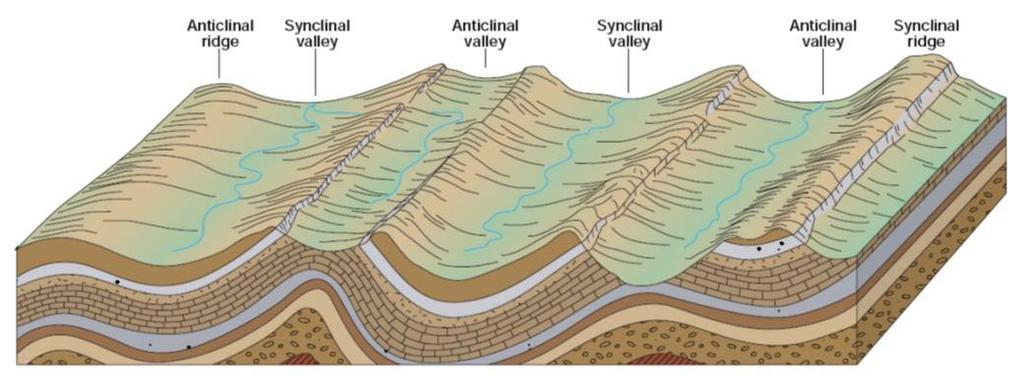 Basic Types of Folds Formation of
