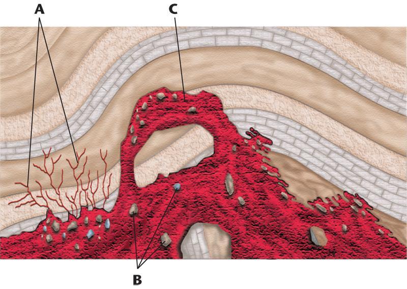 Intrusive Activity Intruding magma can affect the crust in several ways: A. Magma can force the overlying rock apart and enter the newly formed fissures. B.