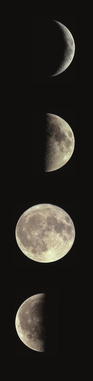 The different shapes that the Moon seems to have are called phases of the Moon. Each phase lasts a short time. A set of phases begins with a new Moon.