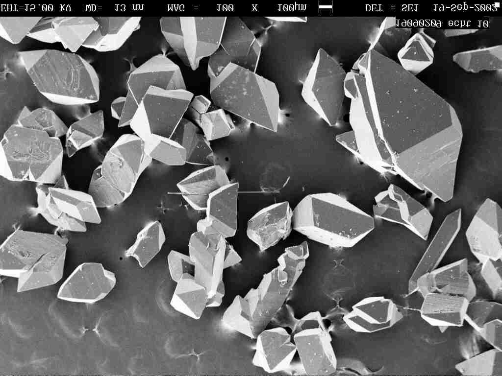 Figure 5 - SEM image of griseofulvin crystals at 250rpm and 1.