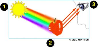 Single Frequency Light When it strikes an object, it can be: absorbed by