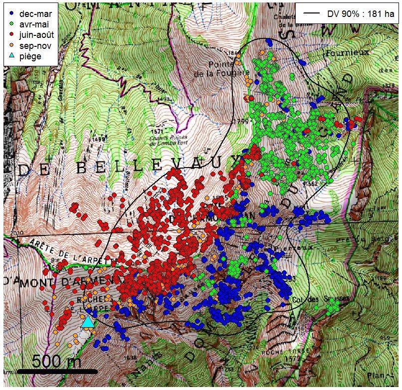 Biological model : the Alpine chamois Body mass (kg) : 26 :39 Typical habitat Flight tactic Should avoid Diet