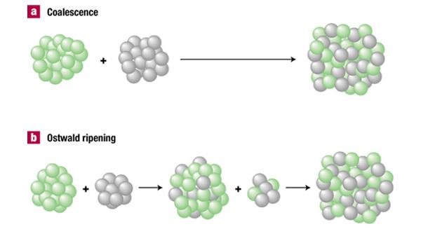 Two main mechanisms are shown here: a, coalescence sintering, and b, Ostwald ripening sintering. Coalescence sintering occurs when two clusters touch or collide and merge to form one bigger cluster.