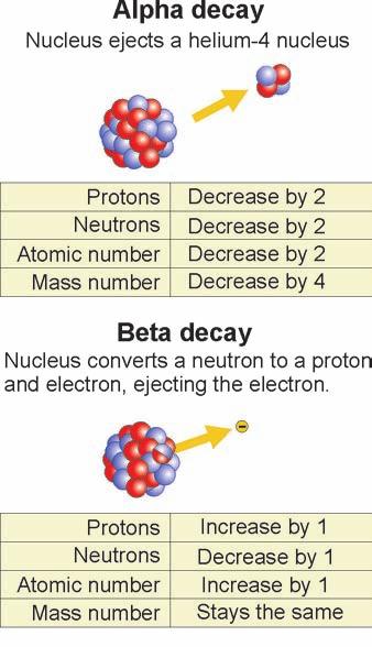Radioactivity What if there are too many neutrons? Radioactivity Alpha decay Beta decay Gamma decay Almost all elements have one or more isotopes that are stable.