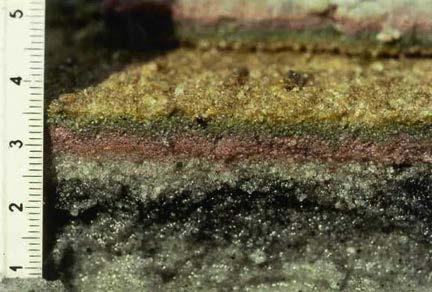 Bacterial mats from modern salt water marshes.