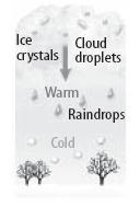 What is the air temperature near the clouds warm or cold? What is the air temperature near Earth s surface warm or cold?