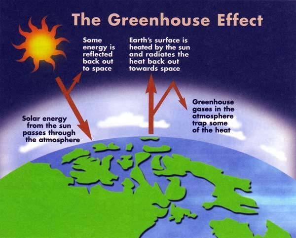 Greenhouse gas emissions have increased over the past century GH Gases in