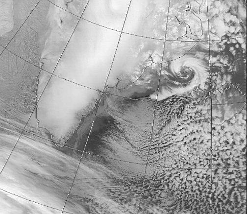 A baroclinic polar low that developed on a strong thermal
