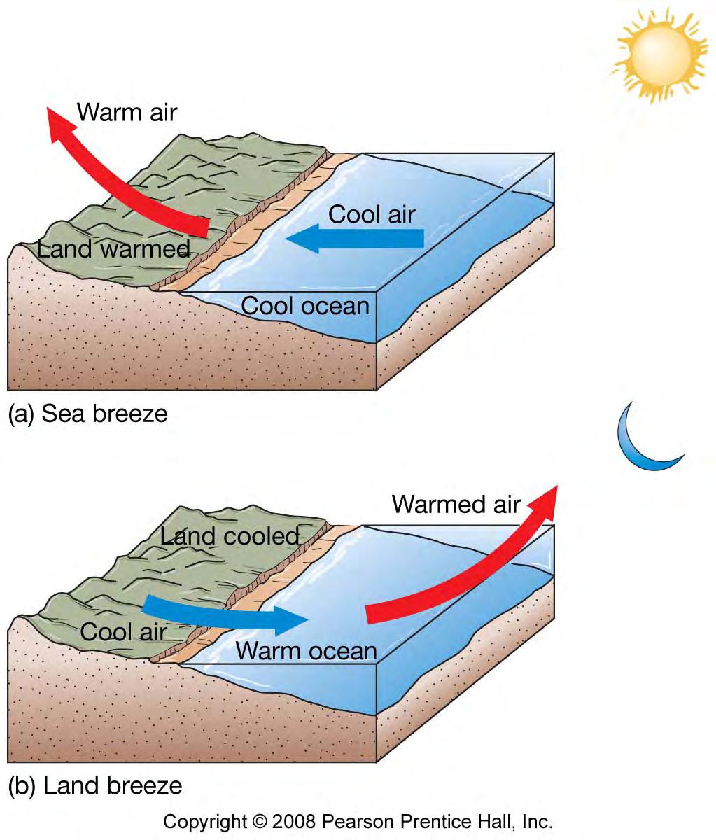Coastal winds Caused by: Solar heating Different heat capacities of