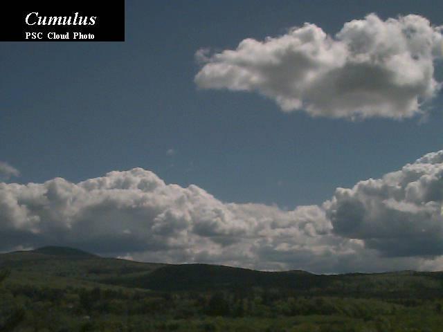 Vertically developed clouds Cumulus Puffy cotton Flat base,
