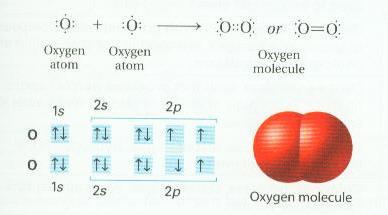 bonds Carbon Dioxide (CO 2 ) - 4 electrons shared