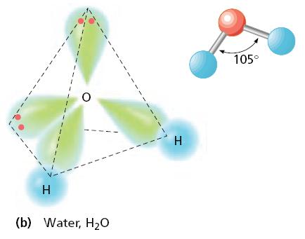 Water molecule has 2 unshared e- pairs It is AB 2 E 2 molecule A (O) is at center