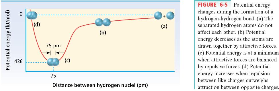 Formation of Covalent Bond Bonded atoms have lower potential energy than unbonded