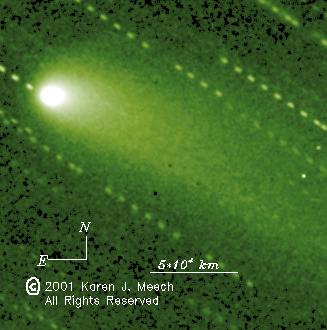 comets on shortened orbits live mostly in