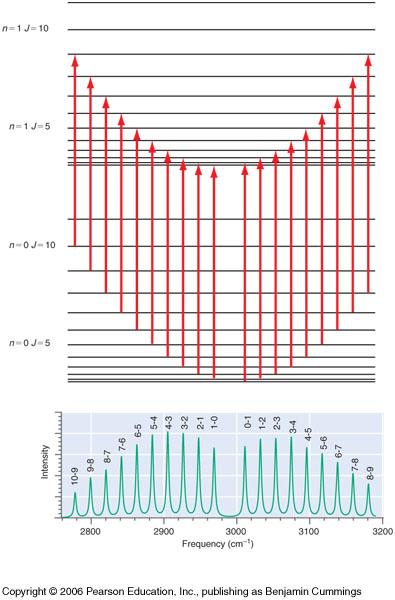 Q19.7) What is the explanation for the absence of a peak in the rotationalvibrational spectrum near 3000 cm 1 in Figure 19.14?