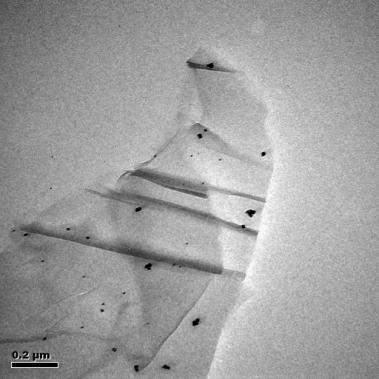 Fig. S6 Typical TEM images of Au/GO nanocomposites The preparation method of Au/GO