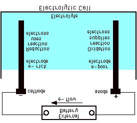 2. Cathodic regions a. Areas that are resistant to oxidation b. Electrons flow from anodic regions and react with oxygen O 2 + 2H 2 O + 4e - 4OH - 3.