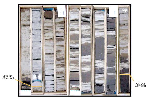 The Stratigraphic model, which included the distribution and properties of the lithological units within the Wabiskaw-McMurray formation were determined using the core samples mentioned above.