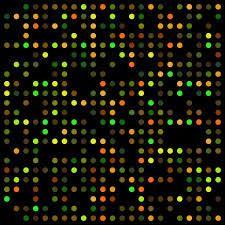 3.1 Introduction DNA microarrays enable scientists to study an entire genome s expression under a variety of conditions.