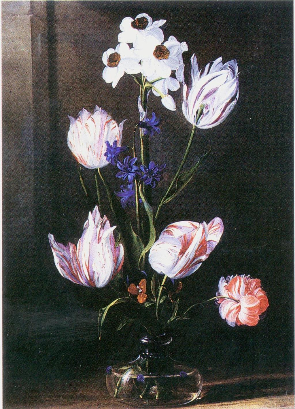 Tulipmania (1600s) Color break in petals Caused by a virus, TBV A single bulb sold for 3,000 guilders (US $1652) compared to Four fat oxen 480 guilders (US $264) Eight fat pigs