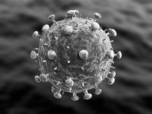 VIRUS - HIV Non-living Non- cellular Protein coat