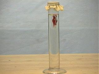 Cartesian Diver To illustrate the