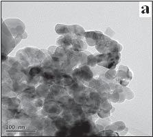 Surface modifications of nanoparticles and nanotubes by plasma polymerization 99 Fig. 2. TEM images of uncoated ZnO at different magnifications.
