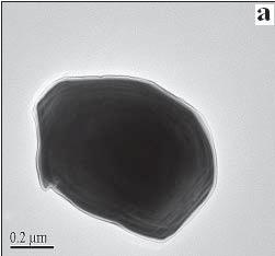 100 Donglu Shi and Peng He Fig. 3. (a) Bright-field TEM image of the AA-coated ZnO nanoparticles at low magnification.
